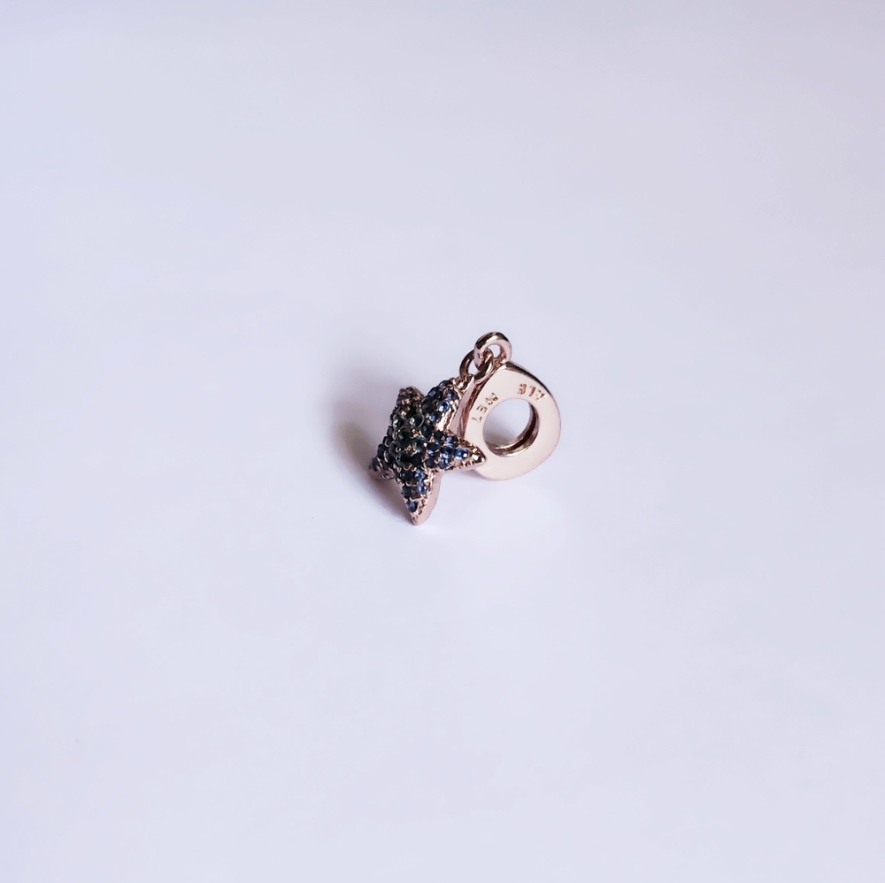 STARFISH CHARM - Picture 5 of 6